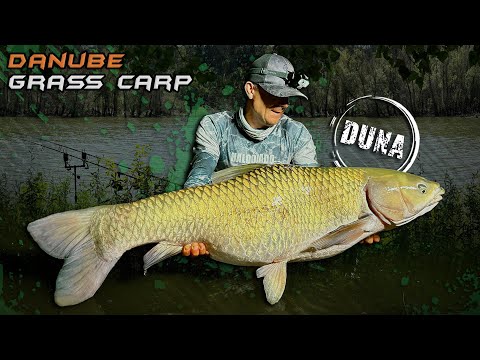 Döme Gábor - Amurok a Dunai Vasmű árnyékában