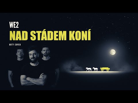 Youtube Video M6bNcwXjlTM