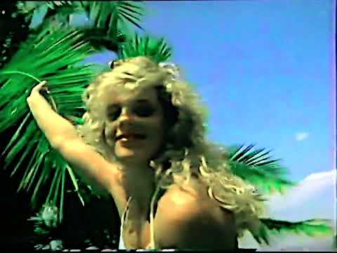 The Paranoyds - Single Origin Experience (Lyric Video)