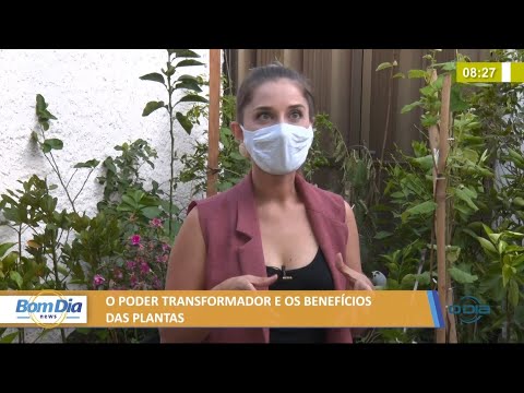 O poder transformador e os benefiÌcios das plantas 15 09 2021