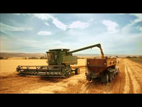 Studiobard Llc video.