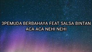 Download lagu ACA ACA NEHI NEHI COVER 3PEMUDA BERBAHAYA FEAT SALSA BINTAN LIRIK mp3