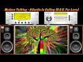Eurodisco 80`s Megamix 1 Eurodisco 80`s Megamix 1