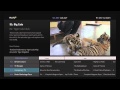 Pluto TV Demo