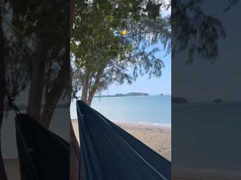 Dai Syed Iqmal || My Sleeping Beauty