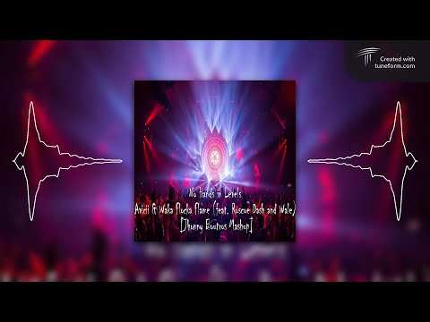 Avicii & Waka Flocka Flame - No Hands in Levels (feat. Roscoe Dash and Wale) [Jhonny Boutros Mashup]