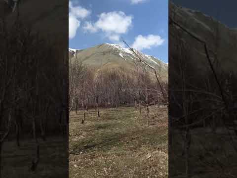 #Nature #adventure #nialhoran