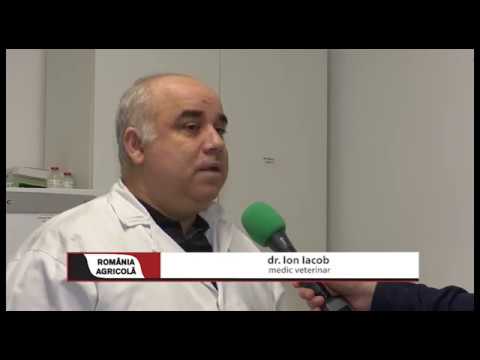 "Plan de medicație înaintea vaccinării porumbeilor" cu dr. Ion Iacob