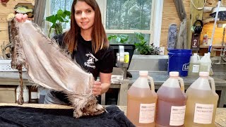 There’s more than one way to tan a cat! Wet tanning options for taxidermy