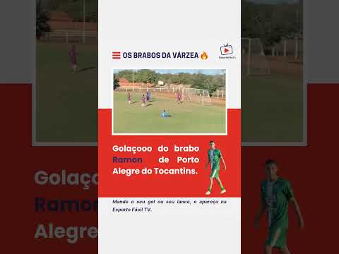 OS BRABOS DA VÁRZEA