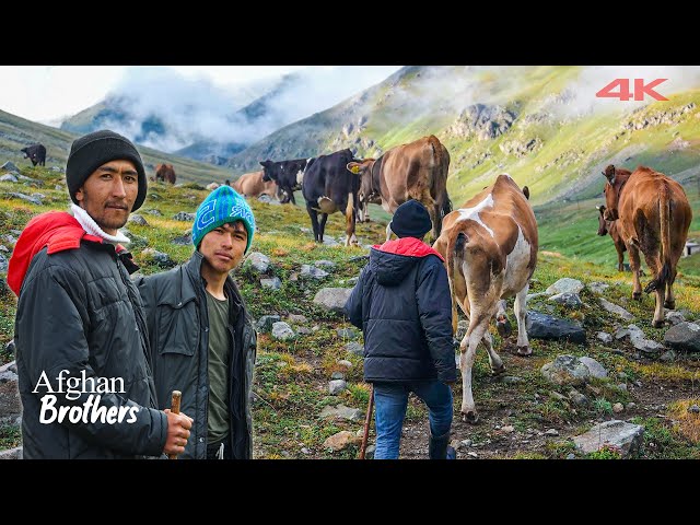 Çoban videó kiejtése Török-ben