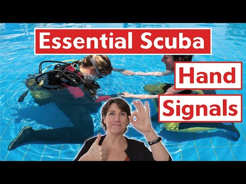 Beginner Divers: Basic Scuba Diving Hand Signals You Need To Know