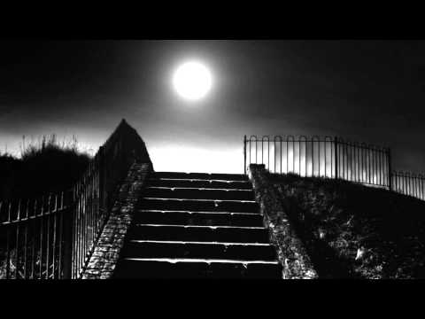 Magnetic Brothers feat. Anna Wave - With The Moon's Steps (Original Mix)