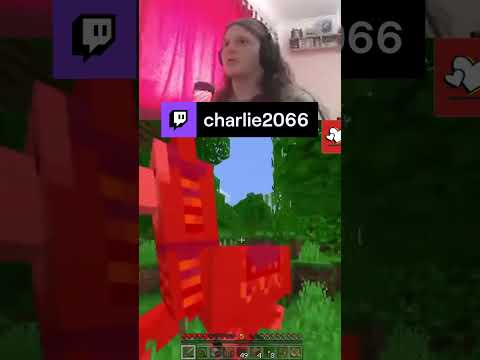 charlie2066 shorts - What was the need 😱🤔 #Charlie #minecraft #funny #Twitch