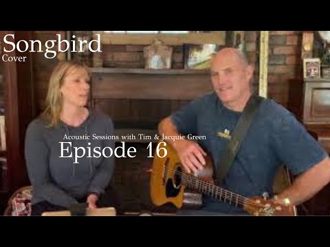 Tim Green & The Frantics video.