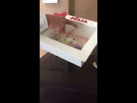 Quadro de porta maternidade