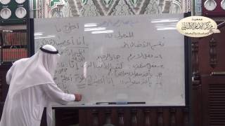 اللغة العربية - الدرس الرابع