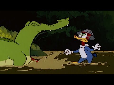 Capa de Pica-Pau | O plano desastroso do Pica-Pau | Desenhos Animados em Português