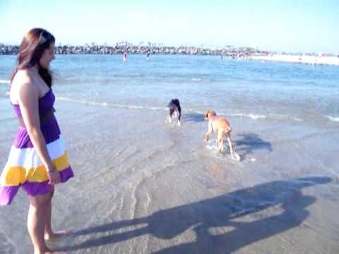 Butter's and Lilith @ the Beach