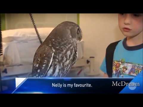 Look how calm she is | Meme