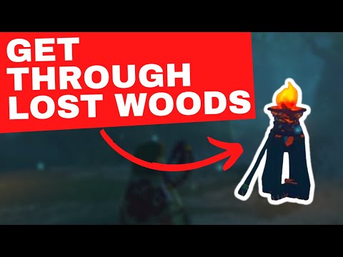How To Get Through The Lost Woods (Korok Forest Guide) - Zelda BOTW