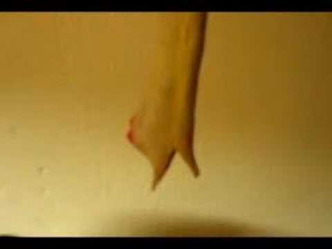 La roña,( parodia anuncio de Antonio Banderas)