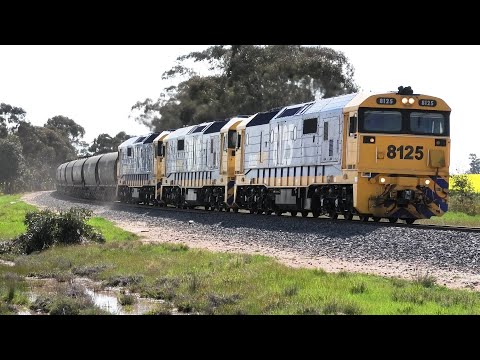 8125-8128-8129 on 7936V ex Speed to Manildra nearing Bealiba .