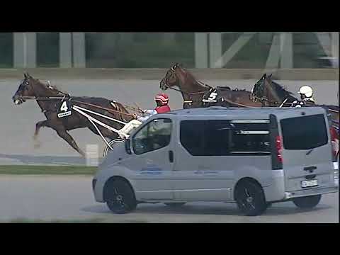 Napoli Trotto 20/01/2023 - 6ª corsa