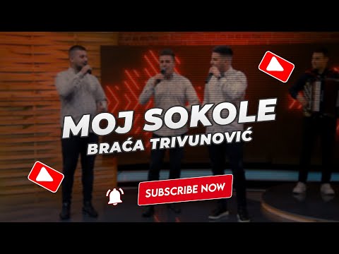 Braća Trivunović - Moj sokole (NOVO 2023)