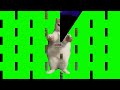 C Klasky Csupo Has An Klasky Opusc Error