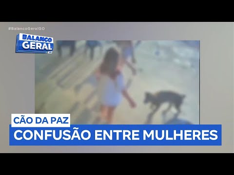 Cachorro tenta separar briga entre mulheres em Posse (GO)