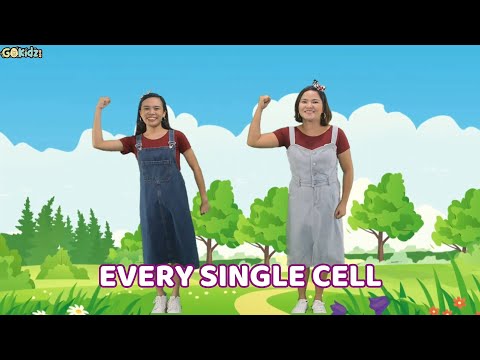 Every Single Cell in My Body is Well