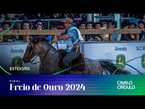 FREIO DE OURO 2024 - FASE FINAL - SÁBADO – 31/08/2024