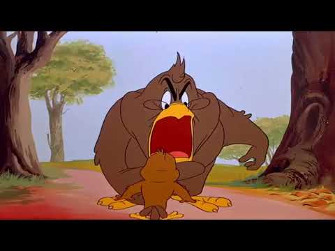 QUIQUE ERES MUY PEQUEÑO PARA CAZAR GALLINAS CLIP LOONEY TUNES