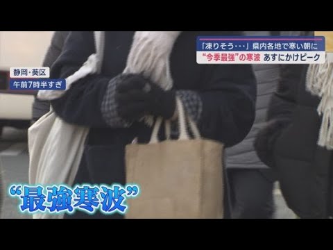 YouTube Video 今シーズン最強寒波 静岡県内各地で氷点下を記録 しかし、寒波を歓迎する場所も…