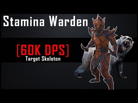Stamina Warden [60k DPS] on 6mil Target Dummy