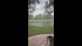 Tampa Bay Radar Check