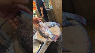 Fast Tilapia Fish Cutting Skills In Bangladesh Fish Market #shorts