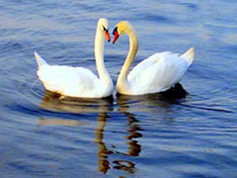 THREE DEGREES - Woman in Love (( HQ ))