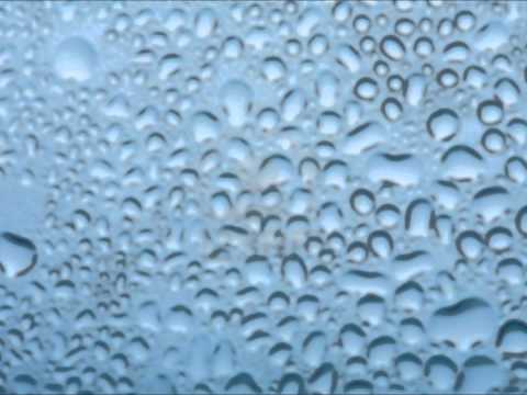 Wasserhasser 2013 (2002)