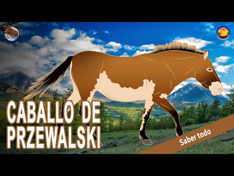 , title : 'CABALLO DE PRZEWALSKI, la población de caballos salvajes más antigua del mundo, RAZAS DE CABALLOS'