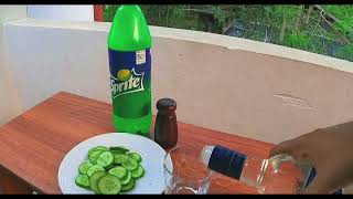 How to drink vodka the russian way | sinhala #vodka #asmr #alcoholic #srilanka #diary #eristoff