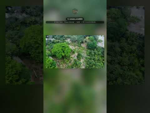 HACIENDA AGRÍCOLA DE 86.5 HECTÁREAS EN COLIMES, GUAYAS ($28,965)