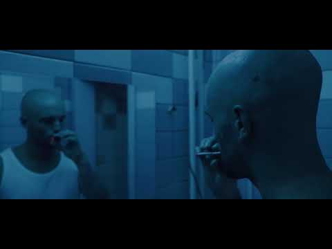 P I K L E V E L ♠ TRAUM VOM AUFSTIEG / BUSCH (Official Video)