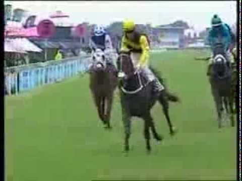 2012-12-01 Turffontein - race 3