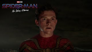 Spider-Man: No Way Home (2021) Video