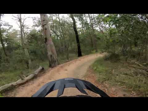 Casuarina Grove Circuit (From Pete's) - Nerang MTB Park
