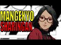 Sarada S Mangekyo Sharingan Explained