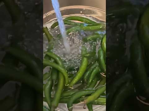 How to store green chillies for long#shorts #kitchenhacks #freshgreen