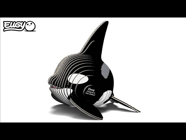 Video Teaser für 20 Orca Eugy Instruction